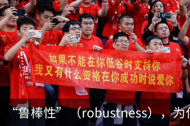 “鲁棒性”（robustness），为什么是糟糕的翻译？