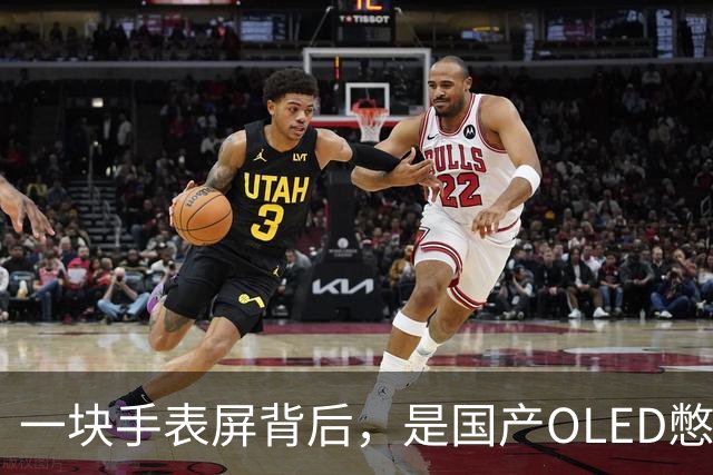 一块手表屏背后，是国产OLED憋了20年的大招