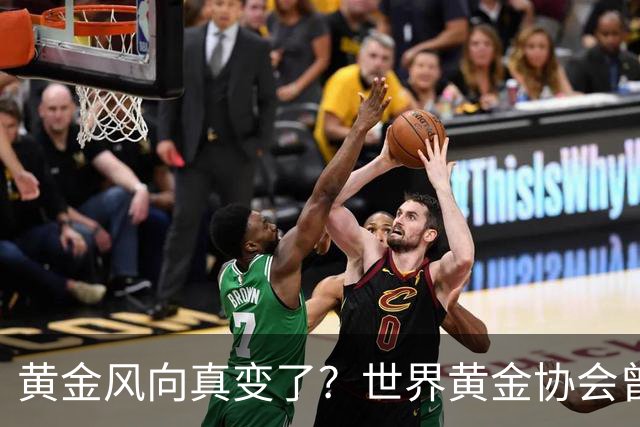 黄金风向真变了？世界黄金协会曾提醒：今年下半年，或将迎关键期